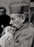 Sł. Boży Stefan Wyszyński